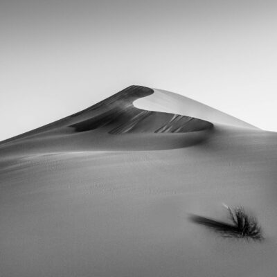 Sahara Dune by Fred Aron