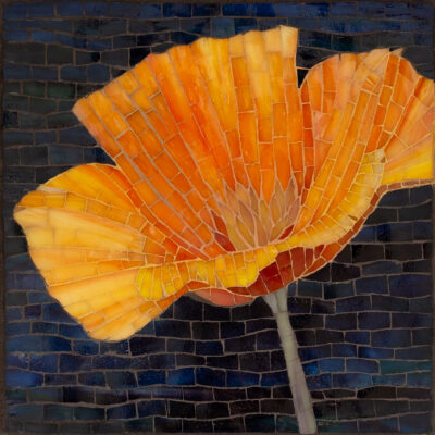 California Poppy by Jennifer Kelley