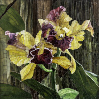 Orchid by Jennifer Kelley