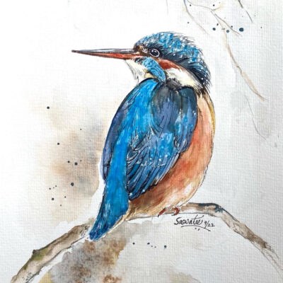 The Kingfisher by SASWATEE KASHYAP CHATTERJEE