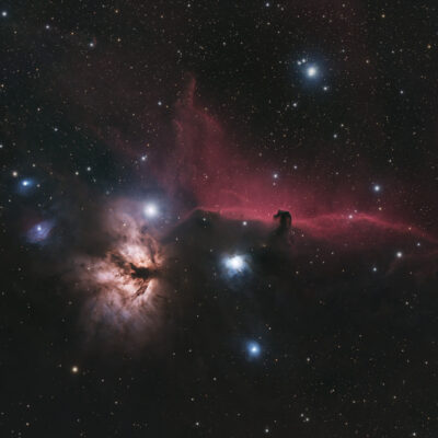 Horsehead and Flame Nebulas by Steve Dellicarpini