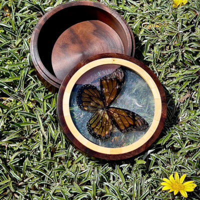 Black Walnut and Resin Butterfly Lidded Box by Glen Richbourg