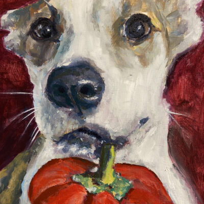 Pet Portrait by Erica Messer