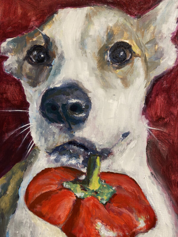 Pet Portrait by Erica Messer