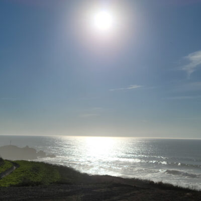 Pacifica Nature Landscapes III by Prem Sujan