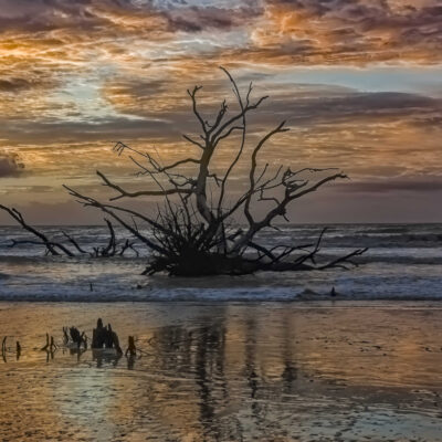 Boneyard Beach by Jagi Shahani