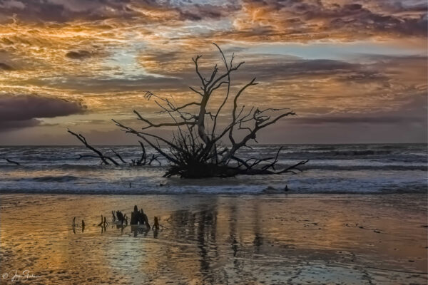 Boneyard Beach by Jagi Shahani