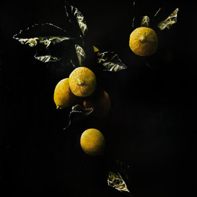 Four Lemons by George Rivera