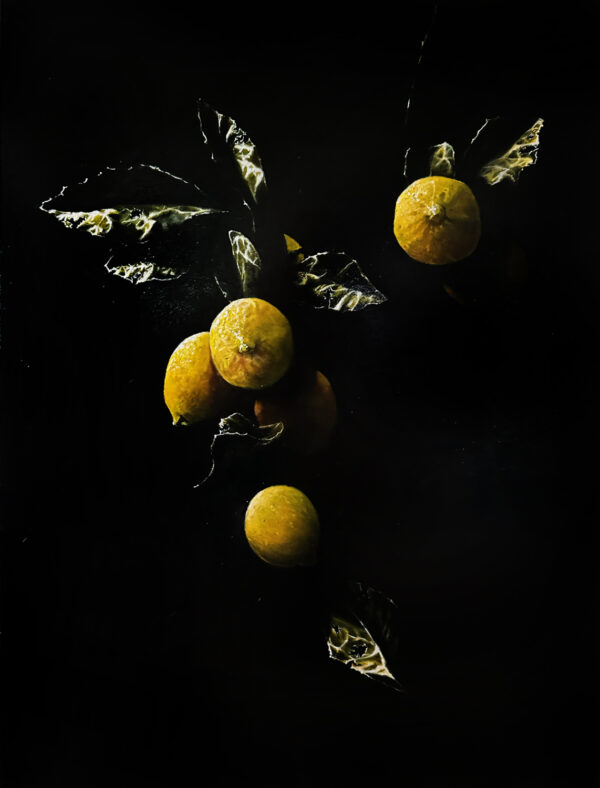 Four Lemons by George Rivera