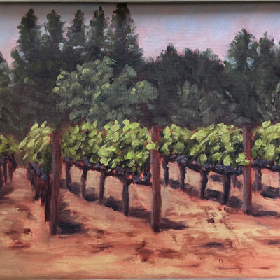 Portola Valley Vineyard by Anni Weston