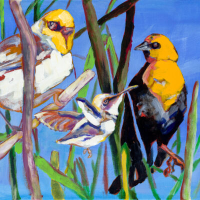 Three Birds by Kathy Coulston