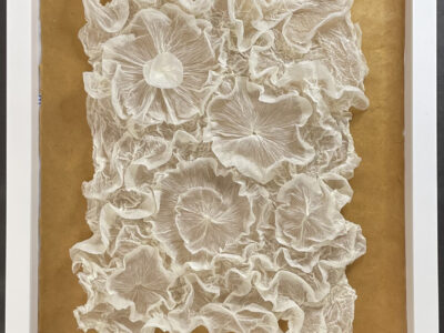 Paper Garden by Cindy Stokes