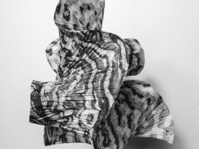 Experimental Life 1 by Cindy Stokes