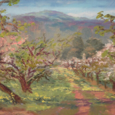 Saratoga History Orchard by David Stonesifer