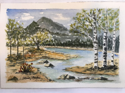 Birch trees in Yosemite by Alain FASTRE