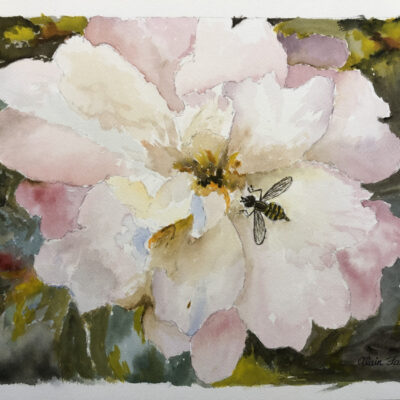 The Camelia and the Bee by Alain FASTRE