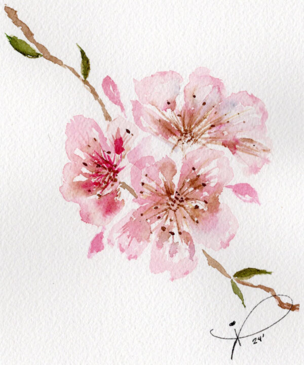 Cherry Blossom by Ivett Acosta