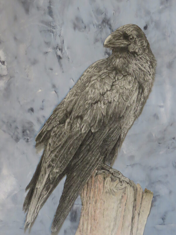 Weathering the Storm by Vivian Walz