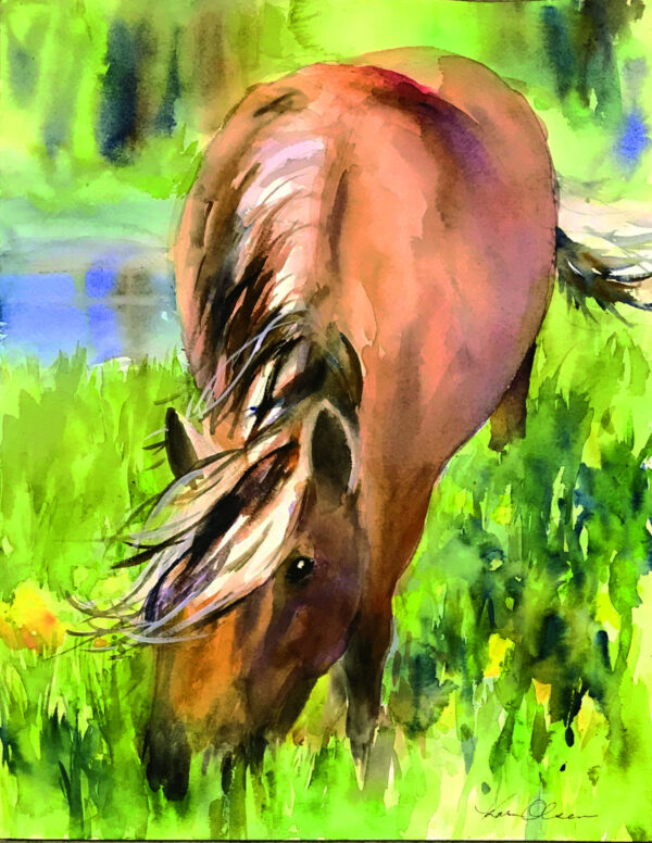 NORWEGIAN FJORD HORSE FEEDS IN A MEADOW by Karen Olsen Bender