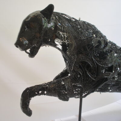 Panther by Rick Wilmer
