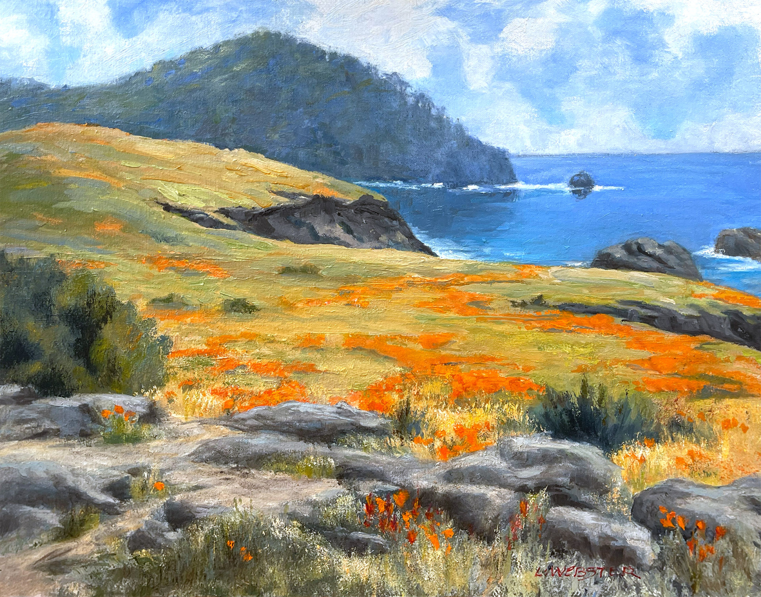 Poppies Paintbrushes at Point Lobos by LaRhee Webster
