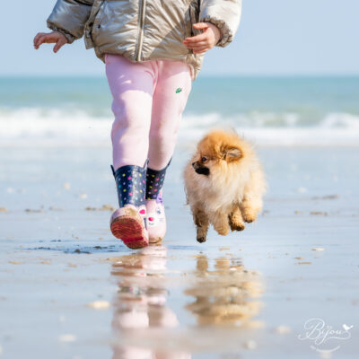 Boots and puppy by Marie Kerlau