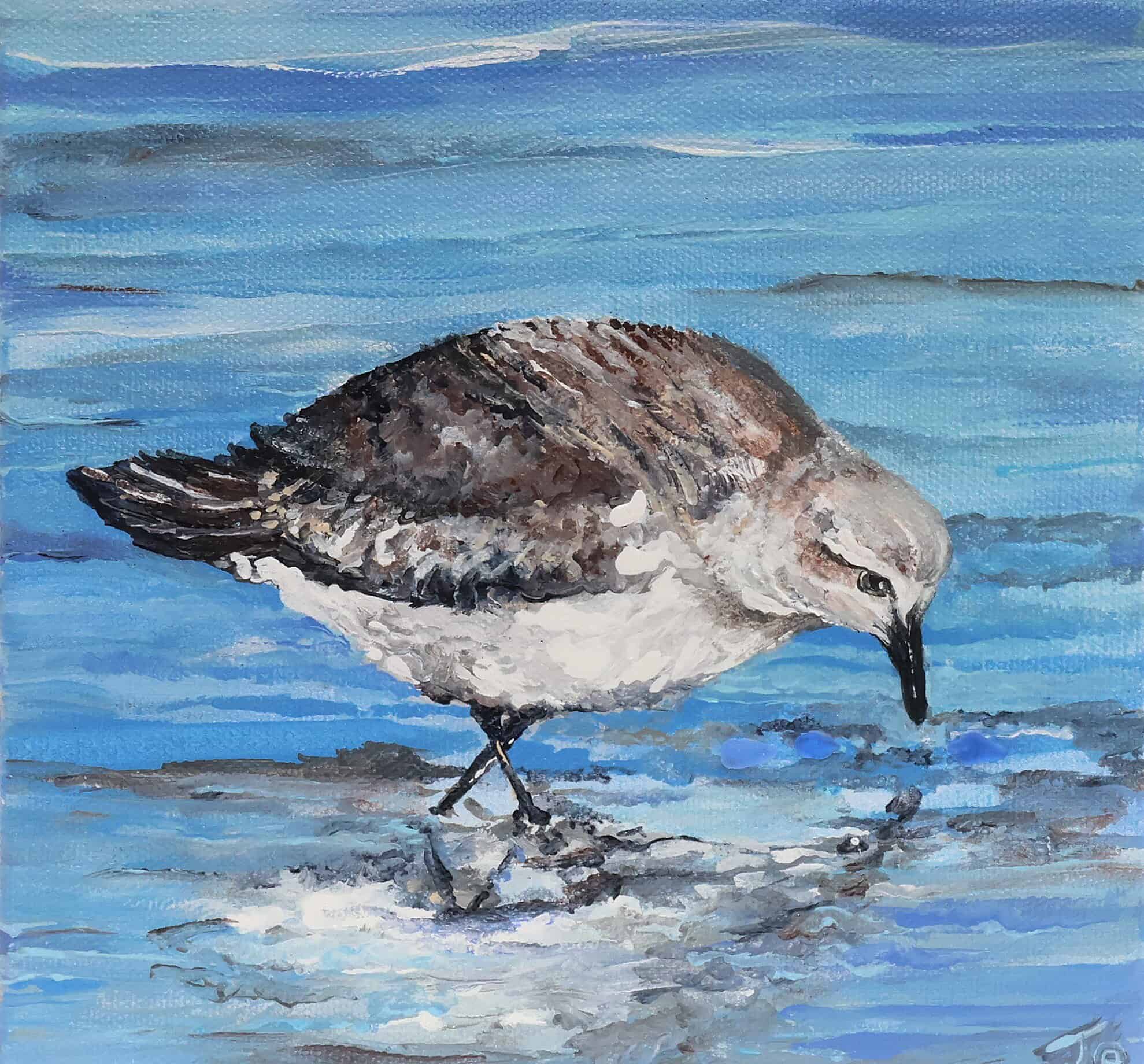 Morning Reflection by Jo Fry
